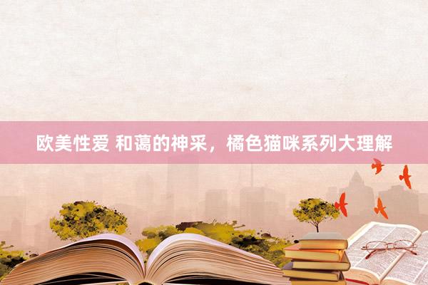 欧美性爱 和蔼的神采，橘色猫咪系列大理解
