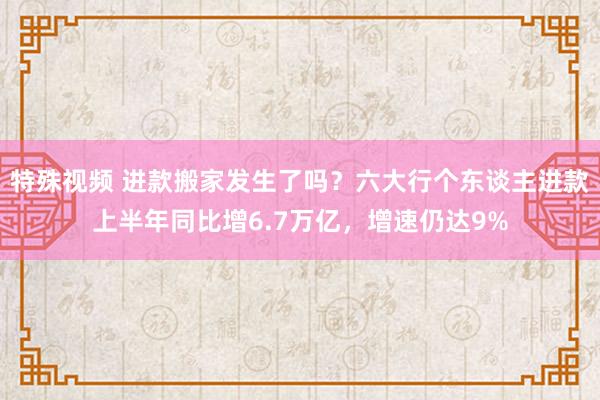 特殊视频 进款搬家发生了吗？六大行个东谈主进款上半年同比增6.7万亿，增速仍达9%