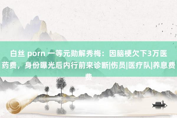白丝 porn 一等元勋解秀梅：因脑梗欠下3万医药费，身份曝光后内行前来诊断|伤