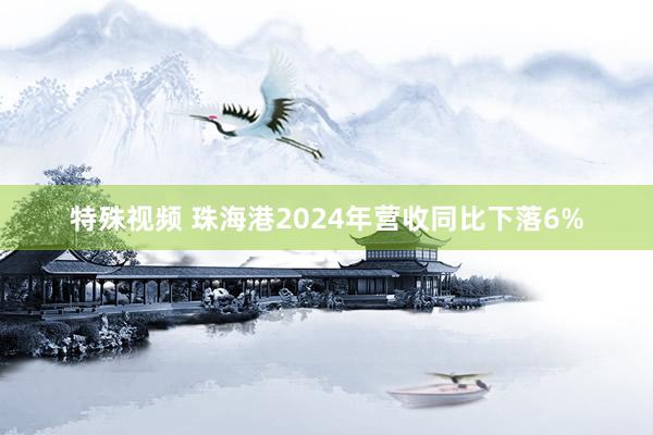 特殊视频 珠海港2024年营收同比下落6%