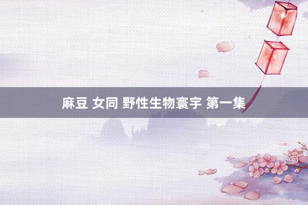 麻豆 女同 野性生物寰宇 第一集
